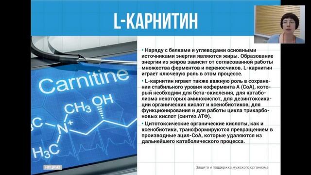 Запись вебинара, 16 ноября 2017 г. смотреть онлайн