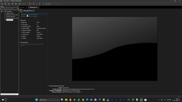 Install Linux Mint 21 Cinnamon Edition on VMware Workstation 16 Pro смотреть онлайн