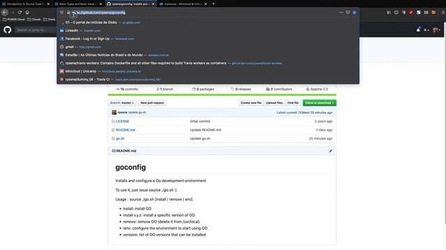 GO development environment on Ubuntu 20.04 ppc64le at Minicloud смотреть онлайн