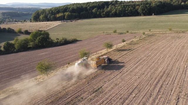 Mais Häckseln // Claas Jaguar 980 // Maisfieber