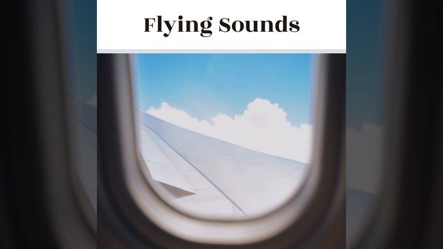 Aisle Seat (Sound For Sleep)