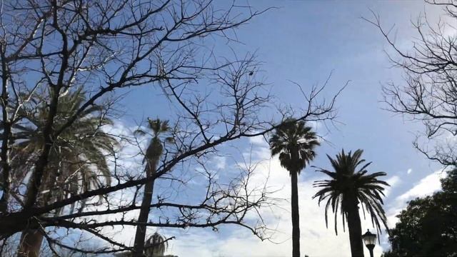 Adelaide South Australia DJI OSMO MOBILE 2 iPhone 7+ iMovie iMac смотреть онлайн