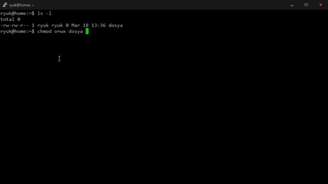 Linux Dosya İzinleri | chmod command | Yeni Başlayanlar İçin Linux - 9 смотреть онлайн