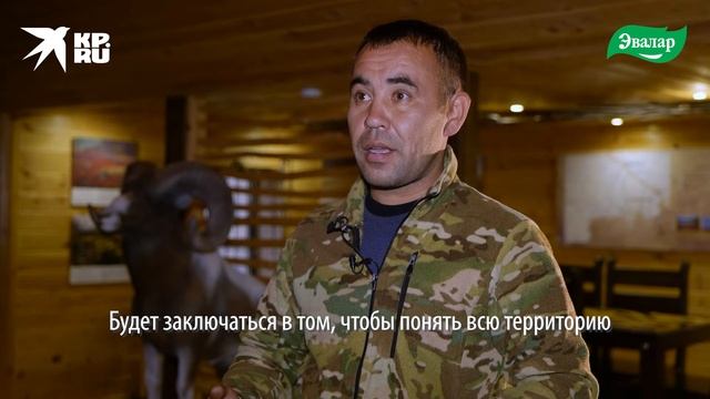 Экспедиция по изучению краснокнижных растений Алтая смотреть онлайн