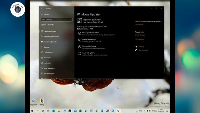 windows 10 version 21H2 download and install смотреть онлайн