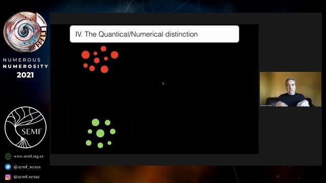 Rafael Núñez | Where do Numbers Come From? | Numerous Numerosity 2021 смотреть онлайн