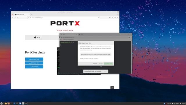 Il Programma PortX Pe r Le Connessioni SSH Su Linux Mint смотреть онлайн