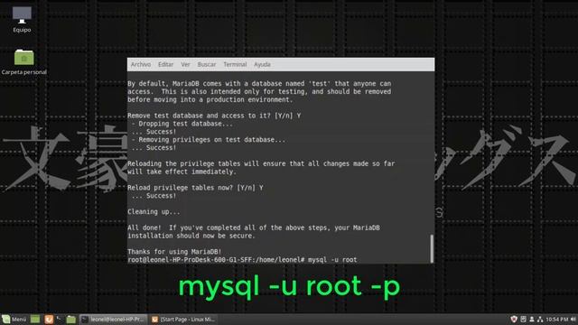 Instalando LAMP en Linux Mint смотреть онлайн