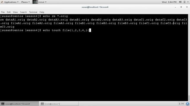 =4.5 Bash tip Use echo to preview command expansion - Linux C.mp4 смотреть онлайн