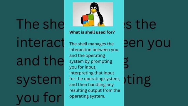 What is the Shell | What is shell used for? |Most popular Shell Types #linux #linux_tutorial смотреть онлайн