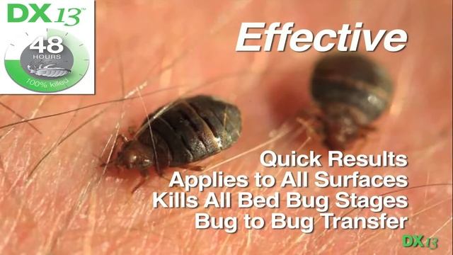 DX13 Residential Bed Bug Killer смотреть онлайн