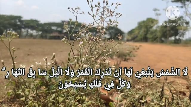 Красивое чтение ~ ночной зикр ~ сура Ясин смотреть онлайн
