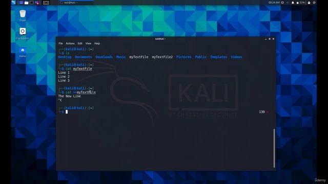 Basic Linux Commands | Penetration Testing | Ethical Hacking Course смотреть онлайн