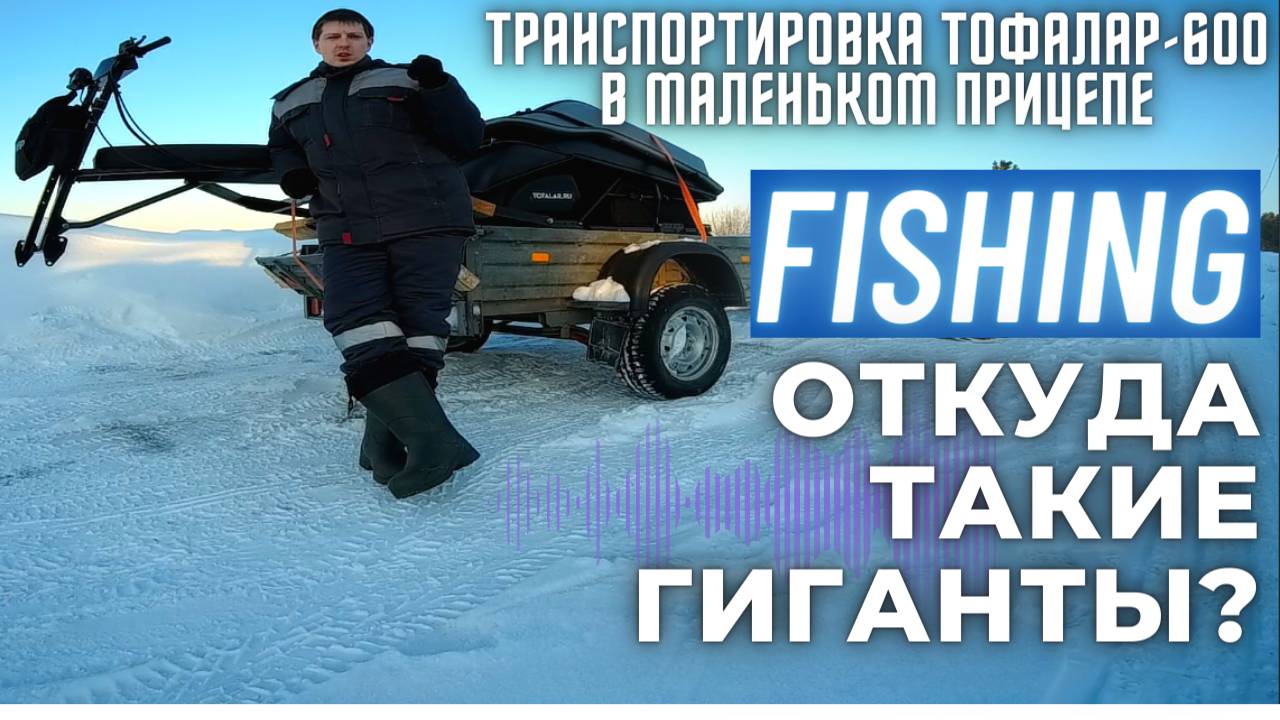 Транспортировка ТОФАЛАР 600 на маленьком прицепе. Ловим ОКУНЯ. смотреть онлайн