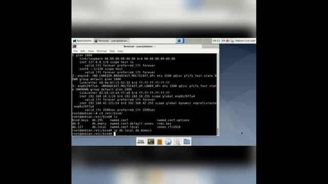 Membangun dns dan web server pada debian 10 live Cd смотреть онлайн