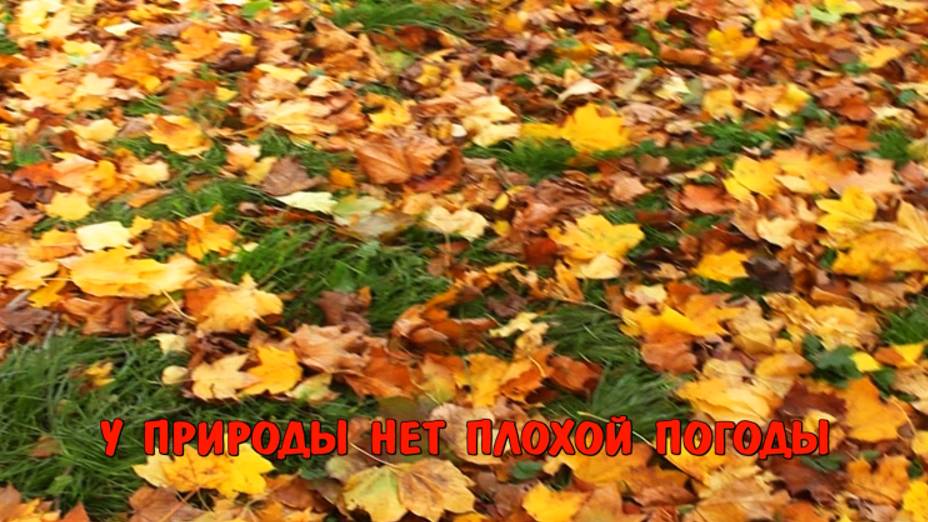 У природы нет плохой погоды смотреть онлайн