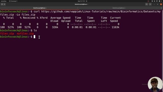 unzip command Explained in Linux for Bioinformatics смотреть онлайн