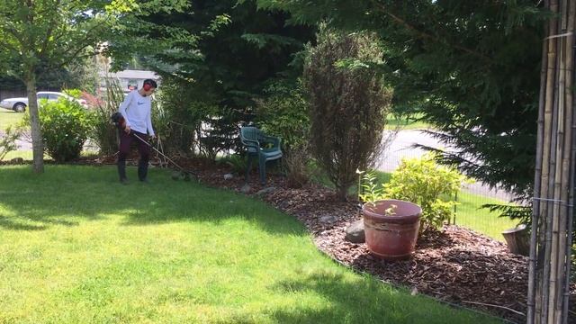 2020 5 29 Weed Whacking смотреть онлайн