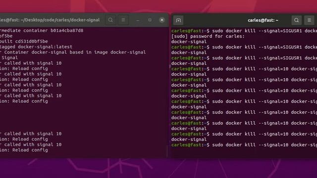 Communicating with a Docker process via Linux signals смотреть онлайн