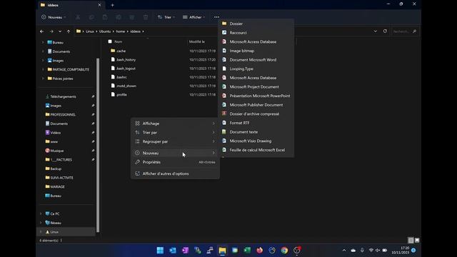 Installation Linux WSL sur Windows 11 смотреть онлайн