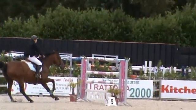 All Sugar SKB (Kashmir van het schuttershof x Chellano z) смотреть онлайн