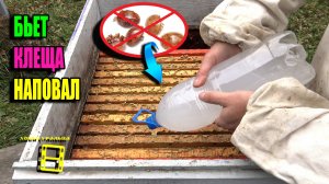 КОНТРОЛЬНАЯ ОБРАБОТКА ПЧЕЛ ОТ КЛЕЩА ВАРРОА - ГАРАНТИЯ ЗДОРОВЬЯ ПЧЕЛ. ДЛЯ НАЧИНАЮЩИХ ПЧЕЛОВОДОВ 24-30