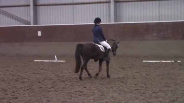 Rhydygrug Gabrielle British Dressage Test Prelim 2 70%