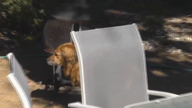 Panasonic HDC-SD90 Test Footage смотреть онлайн
