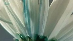 Стебель. Доказательство проводящей функции стебля