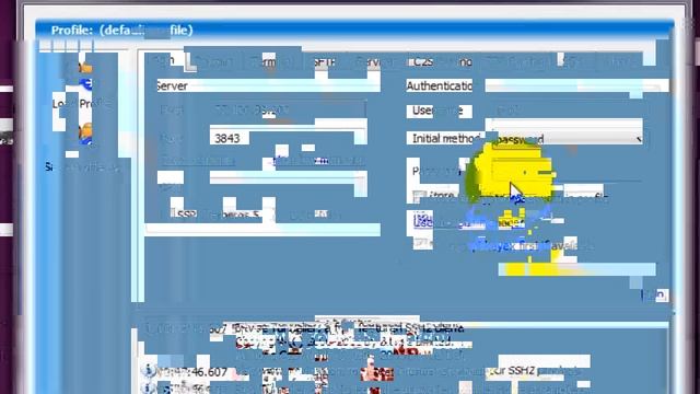How to log in SSH Tunnerlier IP Japan with port 25 Socks SSH Fake IP Japan смотреть онлайн