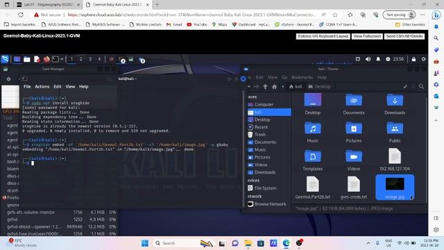 Embedding and Extracting hidden text in Kali linux using Steghide смотреть онлайн