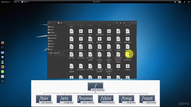 Kali Linux root, root and root смотреть онлайн