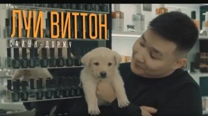 Луи Виттон (Тыва караоке плюс)