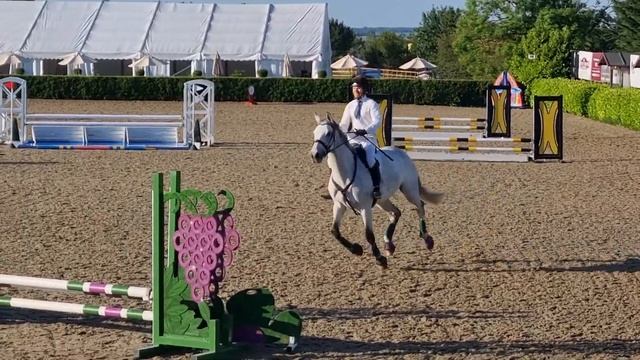 Elsa | 15.6.21 - Showjumping 70/75cm KRC Evening League.
