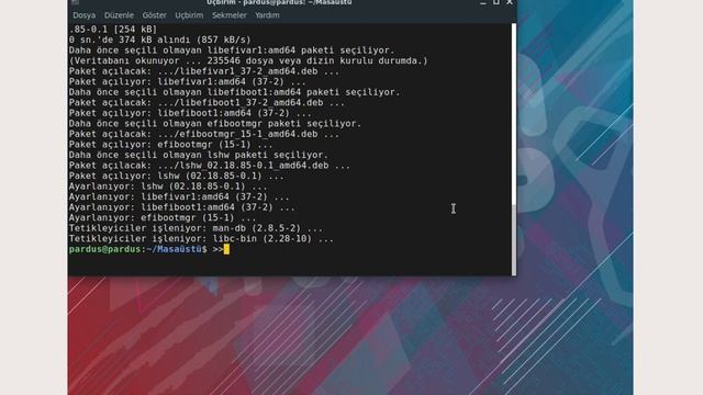 Pardus 19.3 Live sürümünden donanım ve bios/efi bilgisini edinmek ve paylaşmak смотреть онлайн