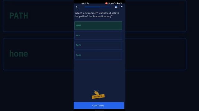 bash practicing using Codecademy app смотреть онлайн