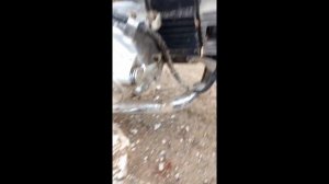 Мопед Альфа, Сильные вибраций что с ними делать?