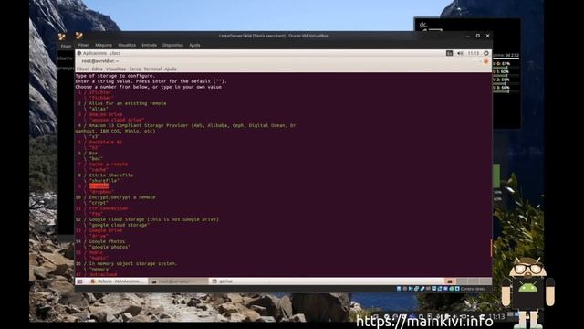 Taller Llinkat - Munta o sincronitza Linux amb Google Drive amb gfuse i rclone смотреть онлайн