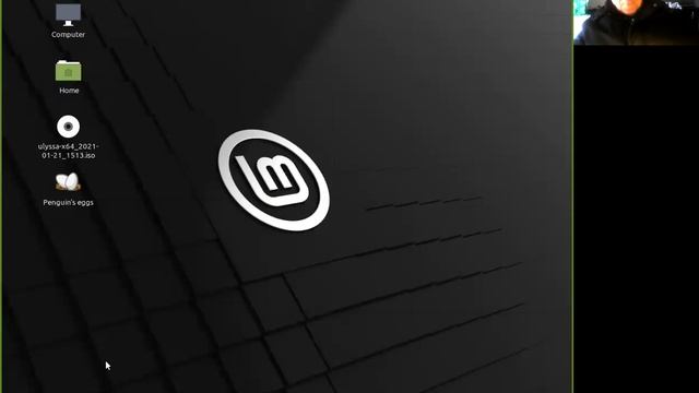 Presentazione eggs su Linux Mint 20.1 ulyssa смотреть онлайн