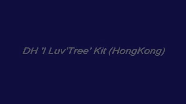 Tai Mo Shan DH rider 'I Luv'Tree' Kit crash - Rider OK (courtesy by TEAM OF PARIS).wmv смотреть онлайн