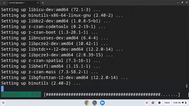 Install RStudio Desktop on Chromebook Linux 20240208 смотреть онлайн