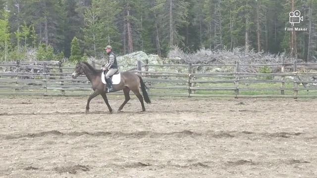 Kaiser through the paces смотреть онлайн