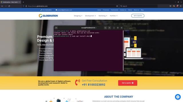 WHOIS - Domain Information Check in Linux OS смотреть онлайн