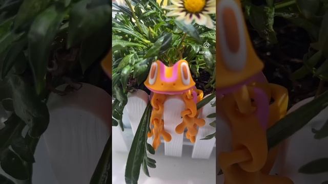 Cute frog смотреть онлайн