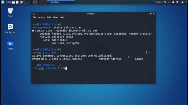 LAB 3 Ethical Hacking - 3.2 Kali Linux Basics: Start SSH Server смотреть онлайн