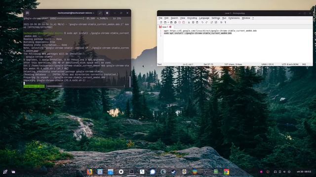 Install Chrome on Ubuntu and derivatives смотреть онлайн
