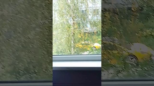 полу тусла по ламба // спорт кар // жёлтый // Тольятти #тольятти #tesla #lamborghini #тольятти