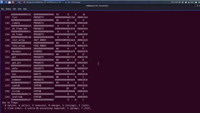 Inside The Executables -- #ELF смотреть онлайн