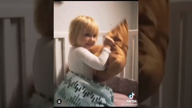 скам смотреть онлайн